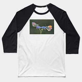 Orange Tips on Forget-me-not backlit Baseball T-Shirt